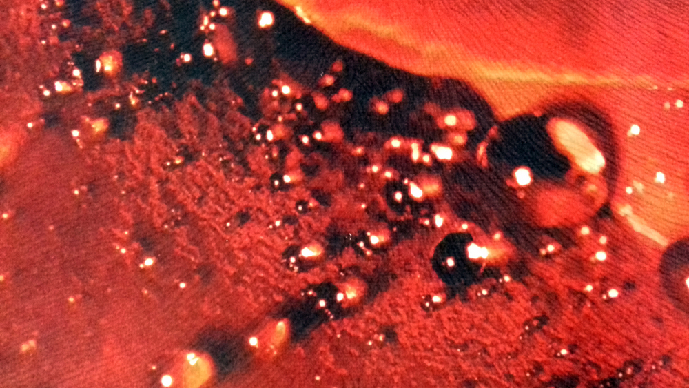 Микровелюр Xpoint (Икспоинт) 0043.01 Роза