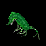 Рыболовные, силиконовые приманки. Рачки мормыш RuBaits Shrimp креветка. Набор для рыбалки на щуку, судака, окуня, форель. Зимняя рыбалка, микроджиг.