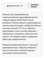 Семена огурцов Директор F1, 7 семян (Vita Green / Вита Грин)