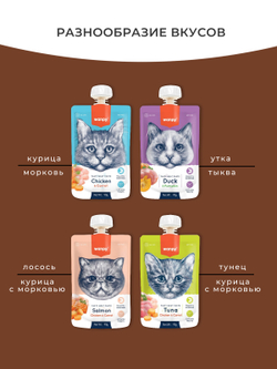 Wanpy Cat Лакомство для кошек Мясной мусс из лосося и курицы с морковью 90 г