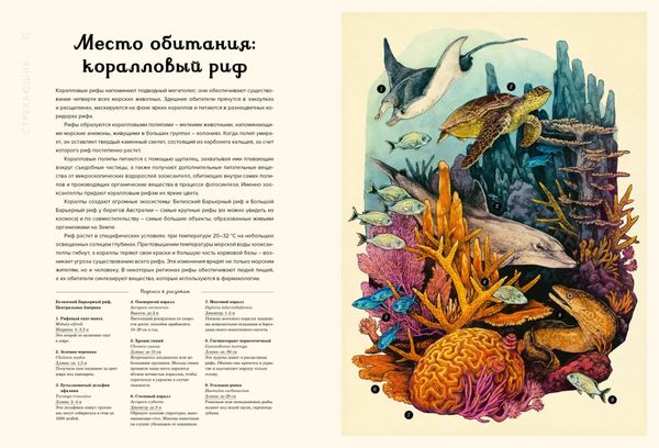 Океанариум