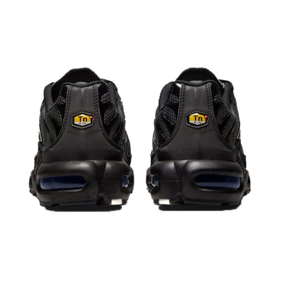 Кроссовки Nike Air Max Plus Мужские