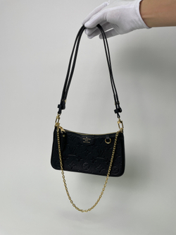 Сумка Louis Vuitton Easy Pouch