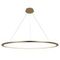 Подвесной светодиодный светильник Loft IT Ring 10014XXL