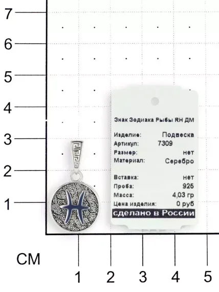 Фото кулона Рыбы знак зодиака из серебра, вид на размерной сетке.