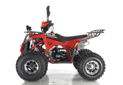 Квадроцикл WELS Thunder EVO X