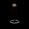 Подвесной светодиодный светильник Loft IT Ring 10014S