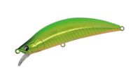 DAYSPROUT