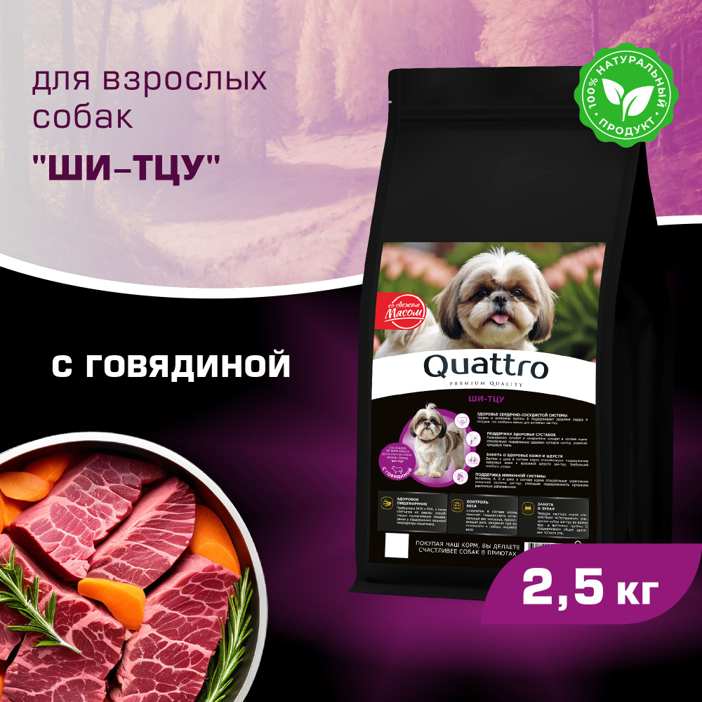 Корм сухой для взрослых собак породы Ши-тцу, с говядиной, 2,5 кг, QUATTRO