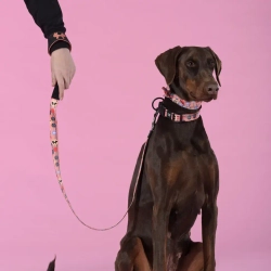United pets complete me forever поводок для собак, 120 см, 25 мм, оранжевый с рисунком