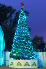 Уличная гирлянда "Цветной Каскад GT" 24В - для елок от 3 до 12 м