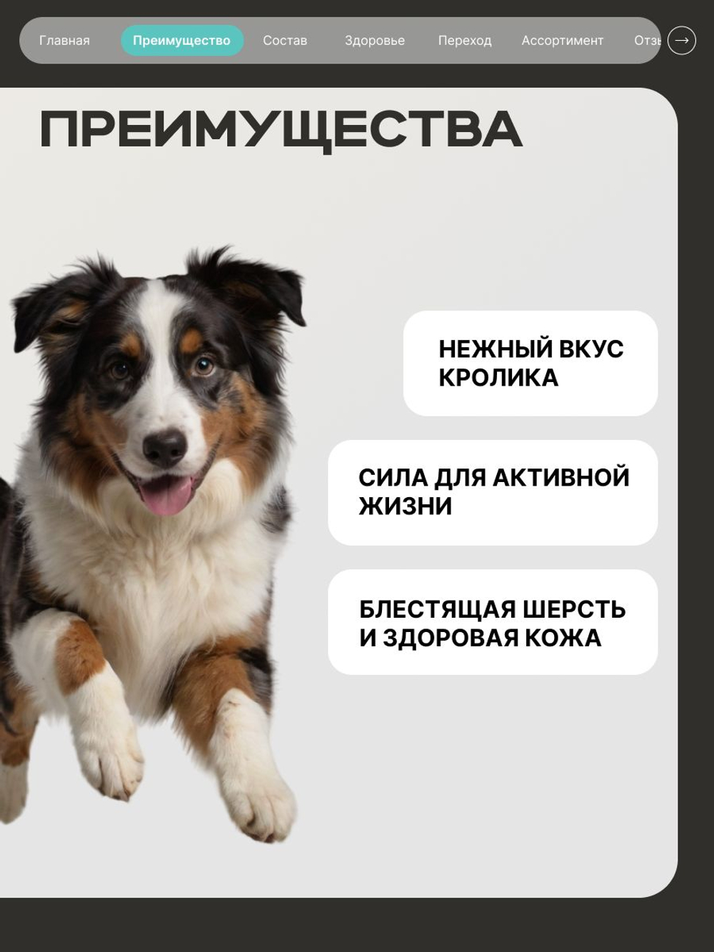 Корм сухой для средних и крупных собак, для живущих в сельской местности, с кроликом, 3 кг, QUATTRO