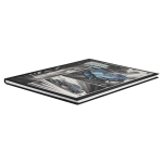 Дневник школьный 1-4 класс 48л "Гонки" (Феникс+)