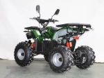 Электроквадроцикл Green Camel Атакама T420 (60V 1500W R8 Дифференциал) пониженная