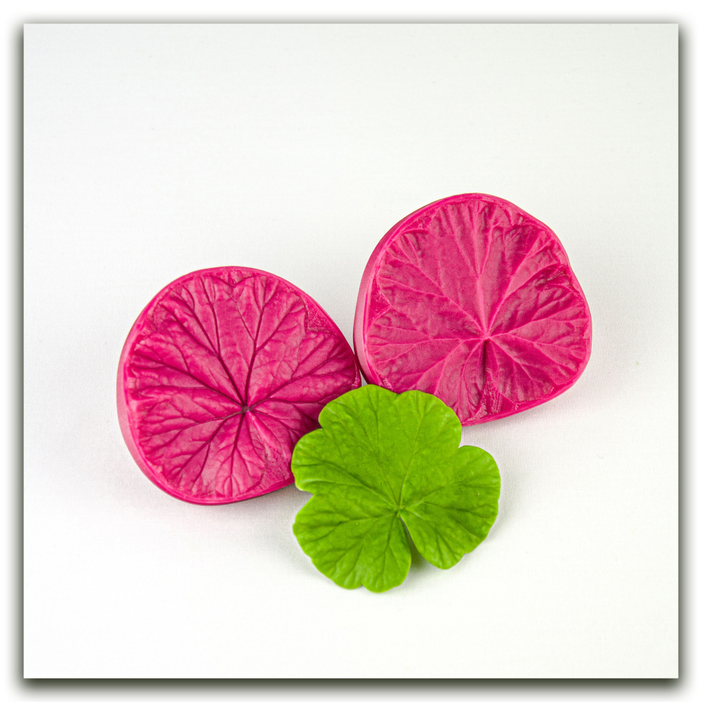 Листья пеларгонии крупные (герани)