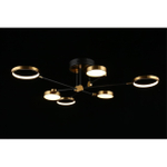 Потолочная светодиодная люстра Aployt Ines APL.043.07.50