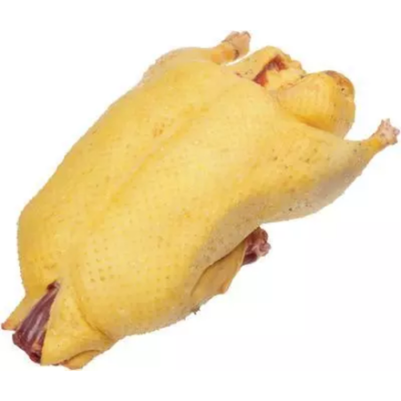 Утка тушка Астана (7004)