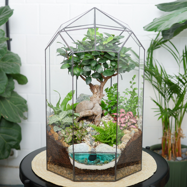 Готовый флорариум бонсай Фикус гинсенг Ботанический сад XL 45см с озером