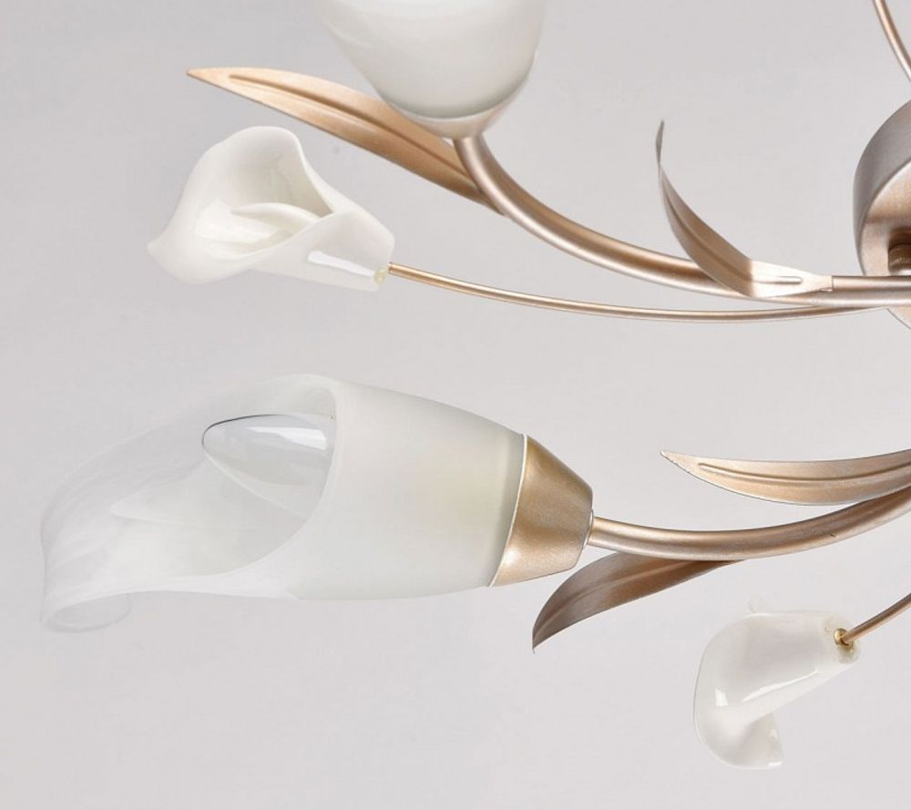 Потолочная люстра MW-Light Восторг 19 242016205