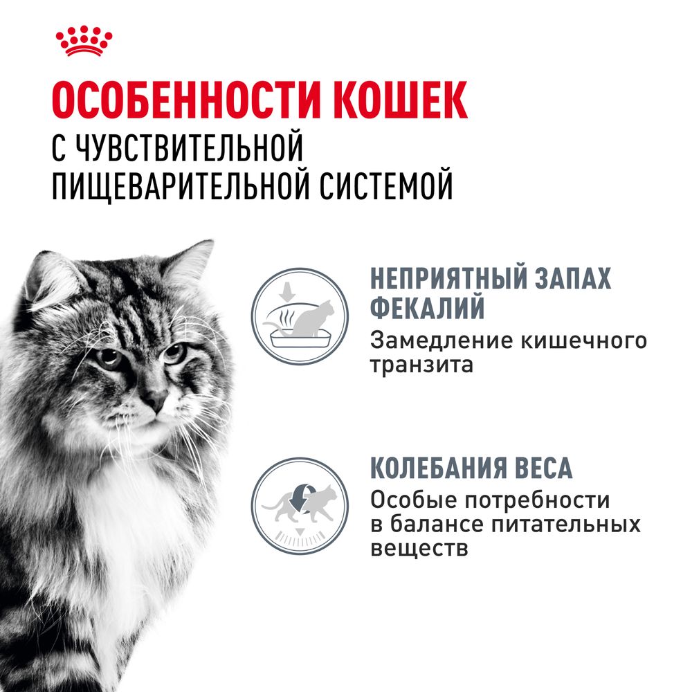 Пауч Royal Canin Digestive Care для взрослых кошек с чувствительным пищеварением, тонкие ломтики в соусе Пауч Royal Canin Digestive Care для взрослых кошек с чувствительным пищеварением, тонкие ломтики в соусе