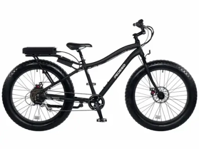 Электрофэтбайк El-sport bike TDN-01 500W
