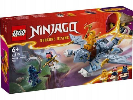 Конструктор LEGO Ninjago - Малыш дракончик Рию - Лего Ниндзяго 71810