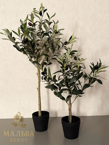 Олива в кашпо 15x15x70см