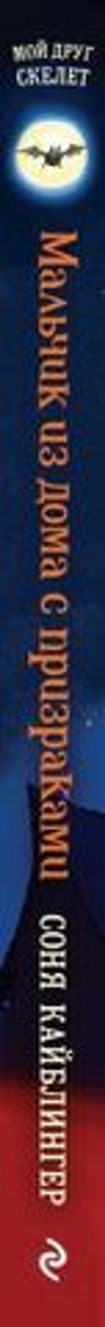 Мальчик из дома с призраками (#1). Соня Кайблингер