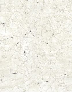 New Spirit панно