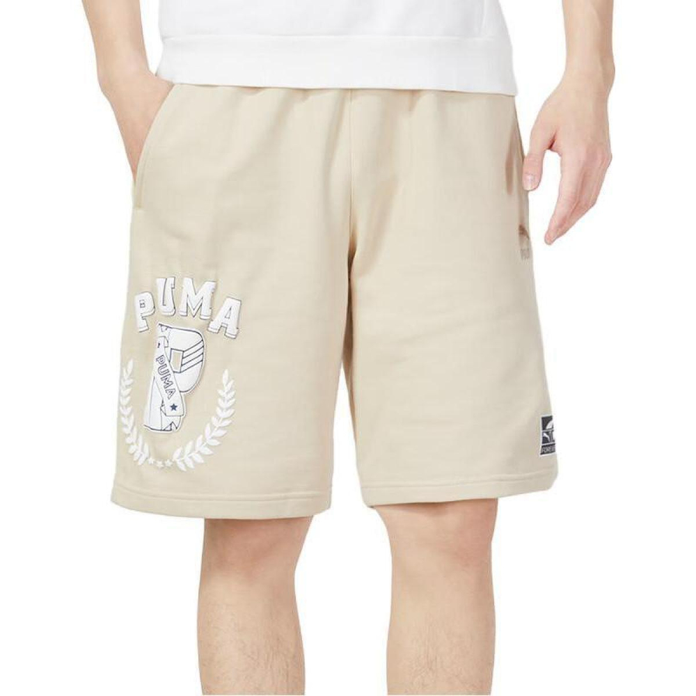 Шорты PUMA Logo, 623255-88