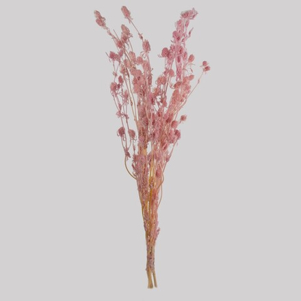 Набор светло-розового эрингиума 70 см 80 гр