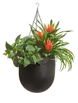 Комплект - Гусмания в кашпо Treez Effectory Black Stone