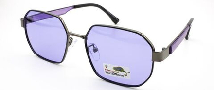 СЗ очки POLAR EAGLE фотохром 06117 C5