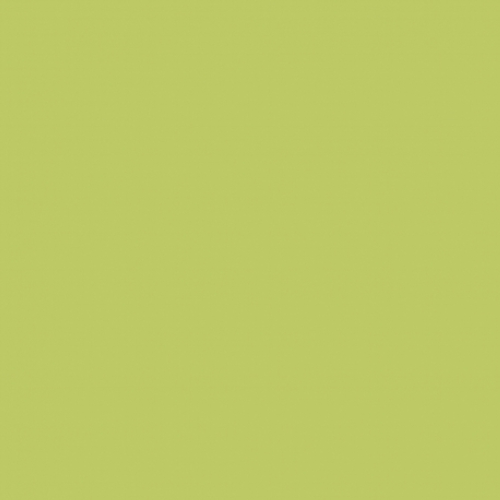 Фон бумажный для фотосъемки 2.72x10м Tropical Green 13 светло-зеленый