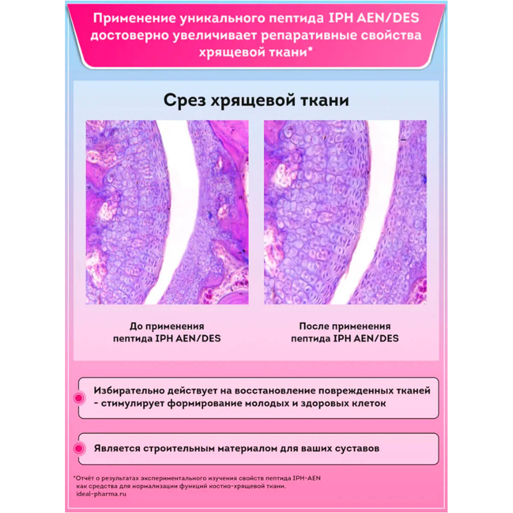 VEROVER PHARMA Артропептин, Пептидный комплекс для суставов и связок, 60 таб.