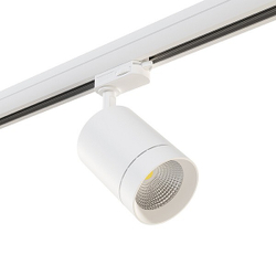 Трековый светильник Lightstar 301564