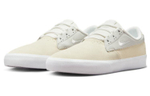 Кроссовки Nike Sb Shane Prm