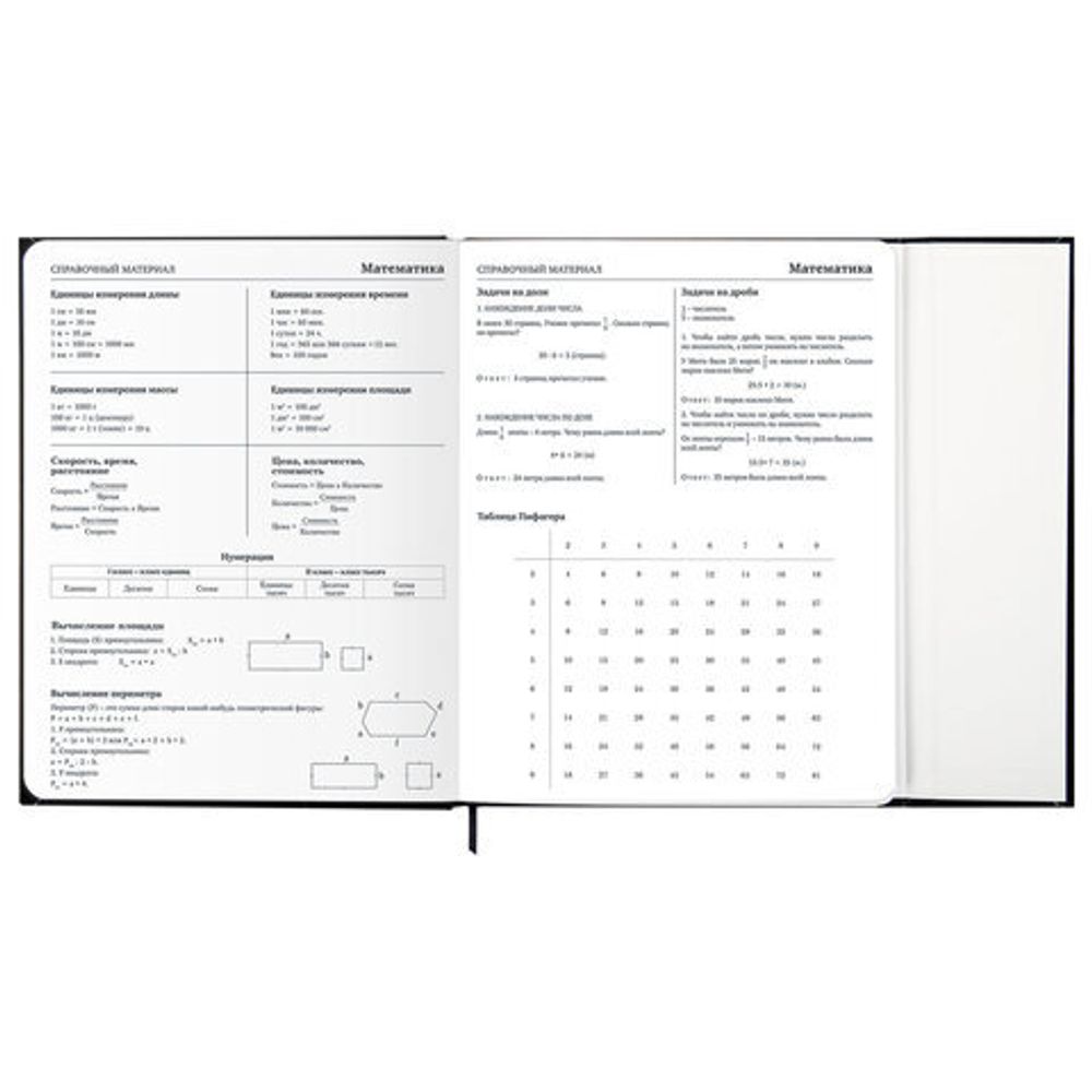 Дневник 1-11 класс 48 л., твердый, BRAUBERG, матовая ламинация, магнитный клапан, закладка-ляссе, с подсказом, "Дракон", 107245