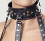 Ошейник сбруя черный