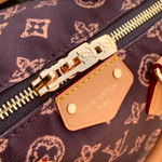 Louis Vuitton Speedy Trunk 20