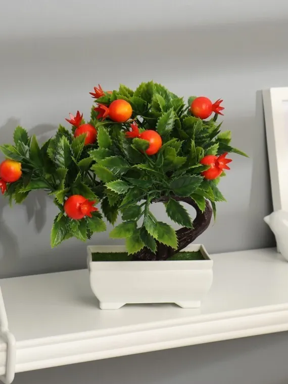 Бонсай в горшке "Деревце плодовое" 10х18 см