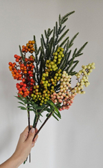 Ягоды / Арт 8041