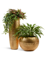 Кашпо TREEZ Effectory - Metal - Полусфера - Чеканное золото