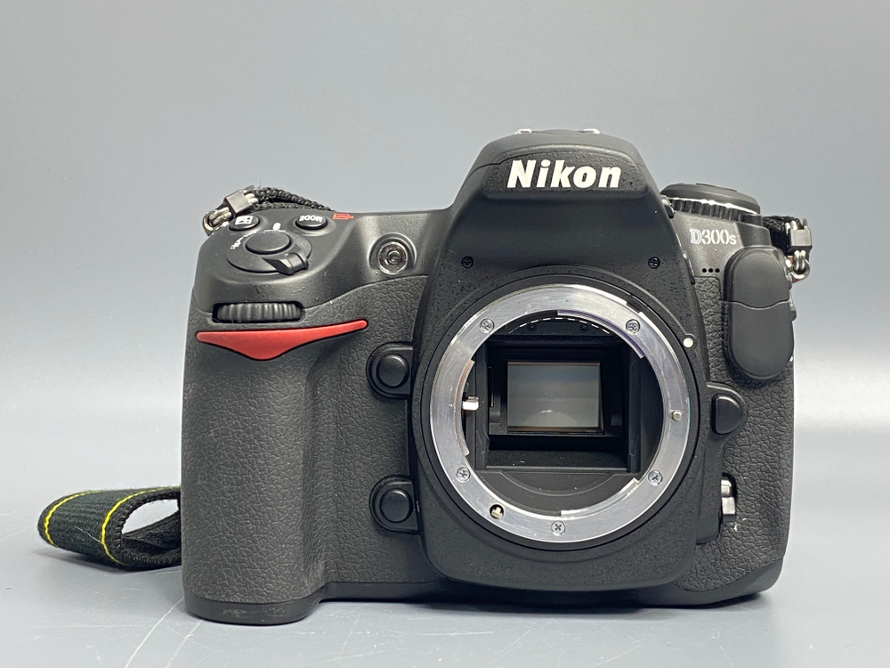 Nikon D300S 3000 кадров