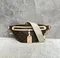 Поясная сумка Louis Vuitton Bumbag Monogram коричневый