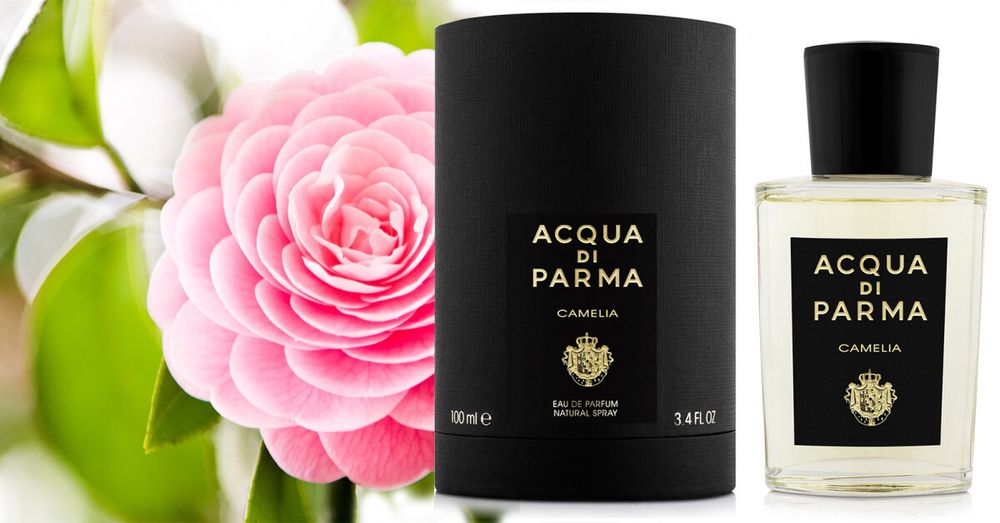 Acqua di Parma Camelia