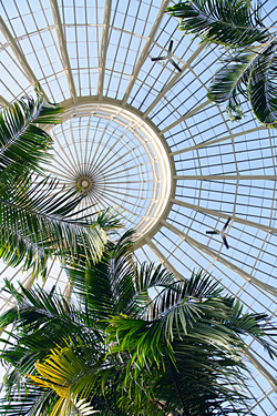 Коллекция FRAME 19