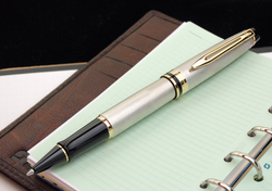 Ручка-роллер Waterman Expert 3, цвет: Stainless Steel GT, стержень: Fblk