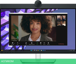 Монитор Dell P2424HEB черный