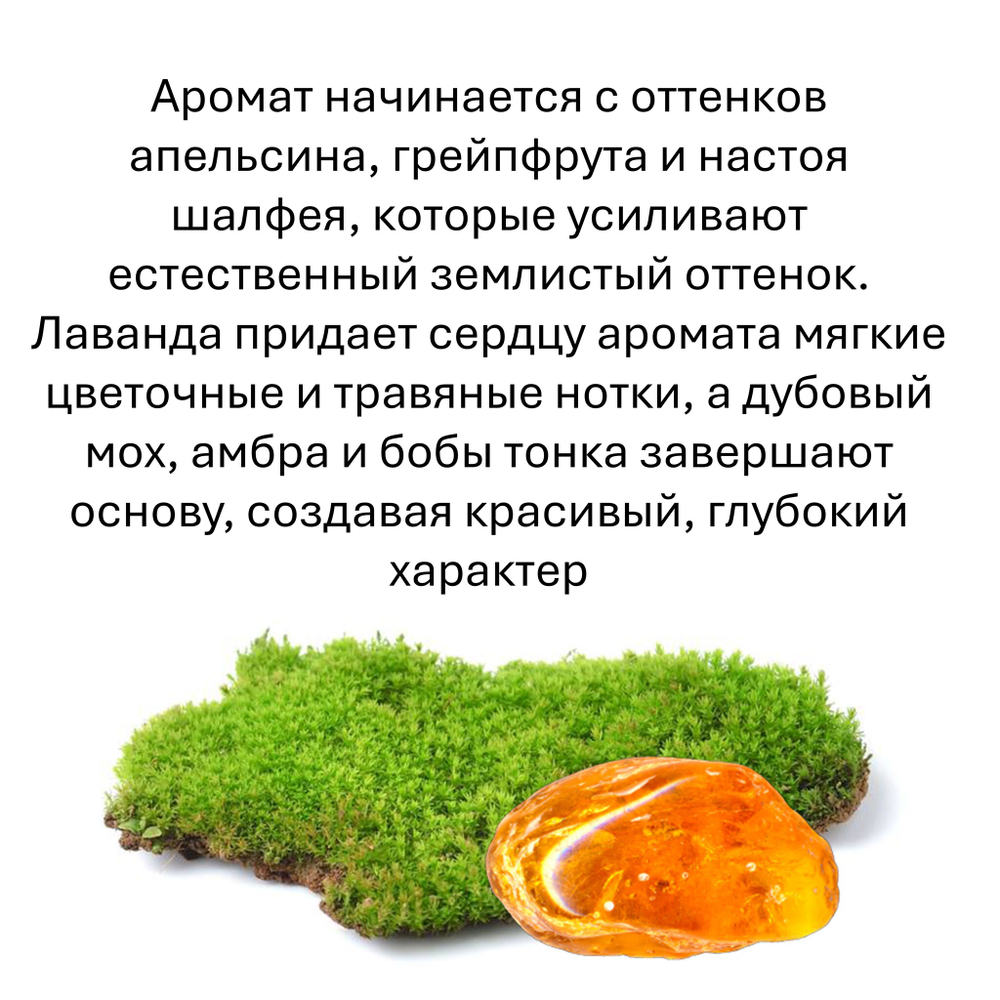 Мох и янтарь, кубики восковые для ароматизации, 10 штук